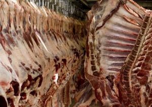 Maiores Importadores De Carne Bovina Do Brasil Em At Abril