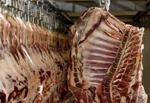 Evolu O Do Pre O Da Carne Bovina Su Na E De Frango Exportada Pelo Brasil