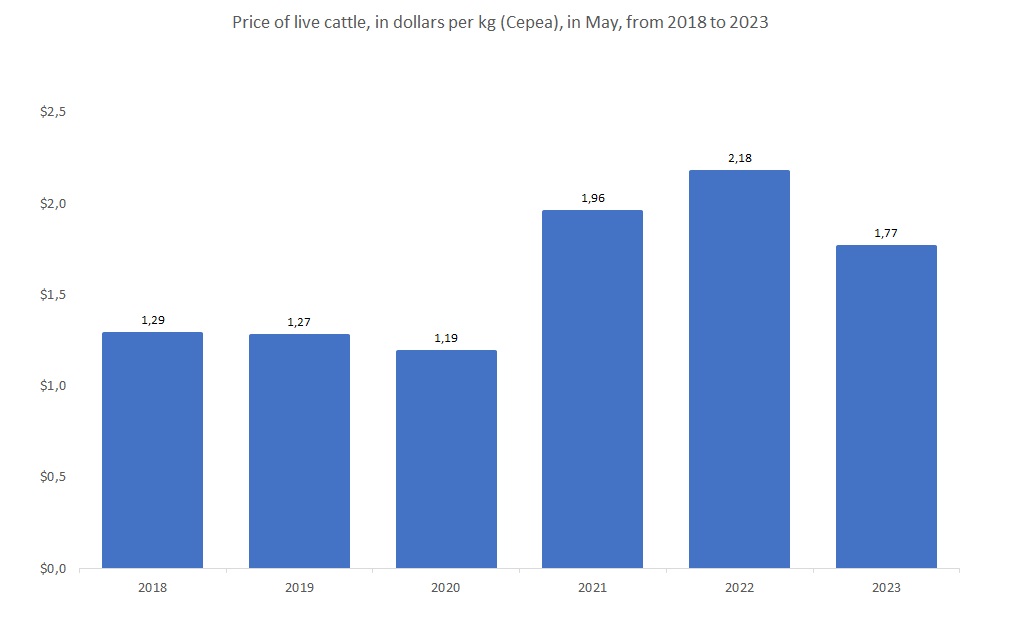 beef cattle price in Brazil