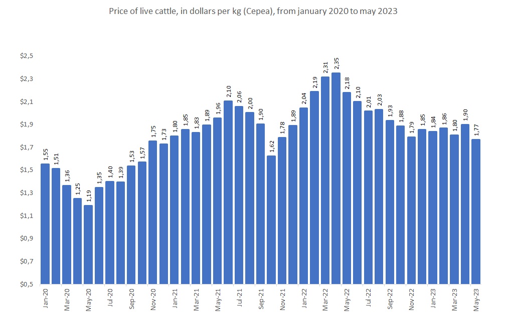 beef cattle price in Brazil