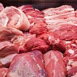 produção de carnes