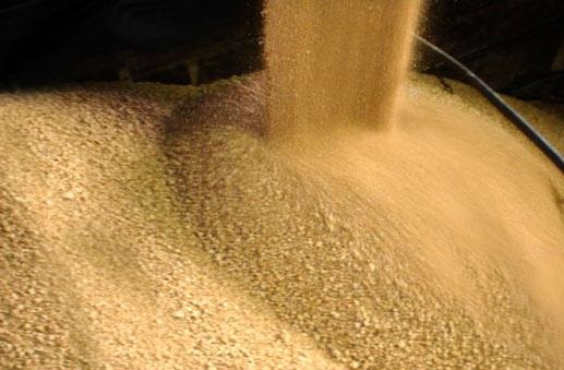 exportação de farelo de soja pelo Brasil
