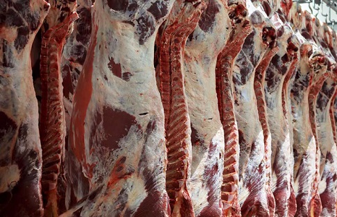 produção mundial de carne bovina