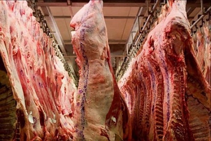 carne bovina para exportação