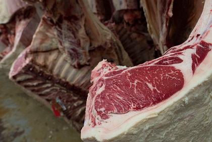 EUA Canadá Archives - BeefPoint O ponto de encontro da cadeia produtiva da carne bovina