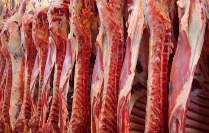 exportação de carne bovina no 3° trimestre