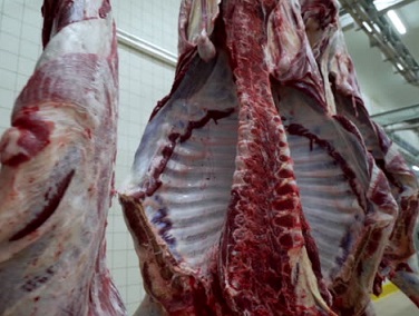 preço da carne bovina exportada