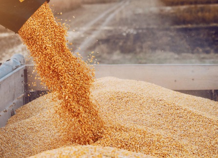 Dados do estoque mundial de milho em 10 anos, de 2012 a 2021