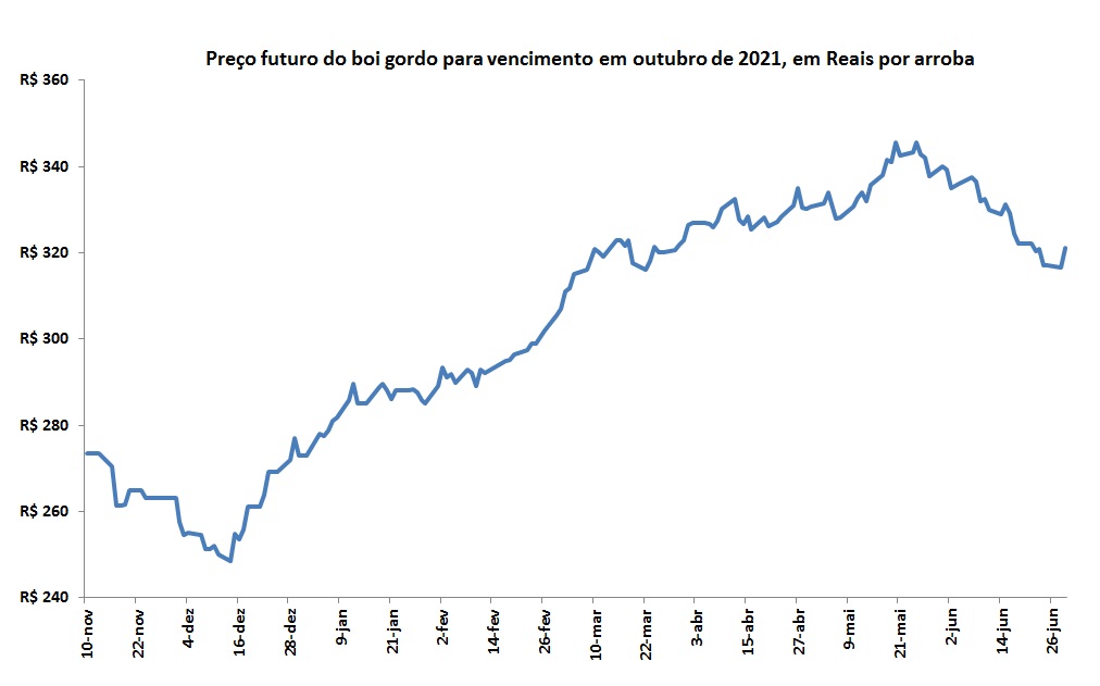 preço futuro do boi gordo