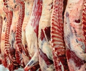 Exportação De Carne Bovina: Dados Parciais De Setembro Mostram Alta