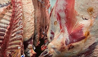 importação de carne bovina do Brasil pela China
