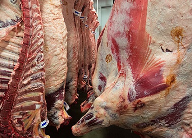 importação de carne bovina do Brasil pela China