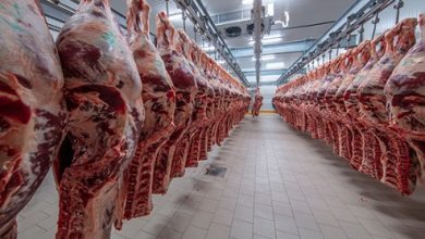 importação de carnes pela China