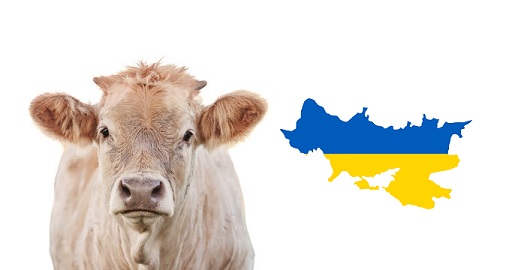 pecuária da Ucrânia