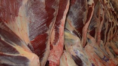 preço da carne bovina brasileira para exportação