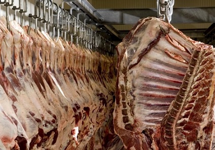 exportação de carne bovina