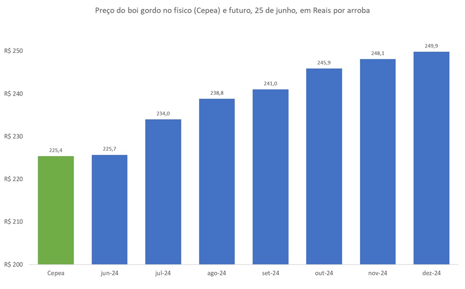 preço futuro do boi gordo