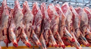 exportação de carne bovina