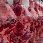 frozen beef from brazil