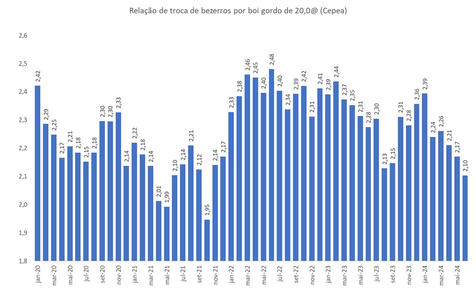 bezerros por boi gordo