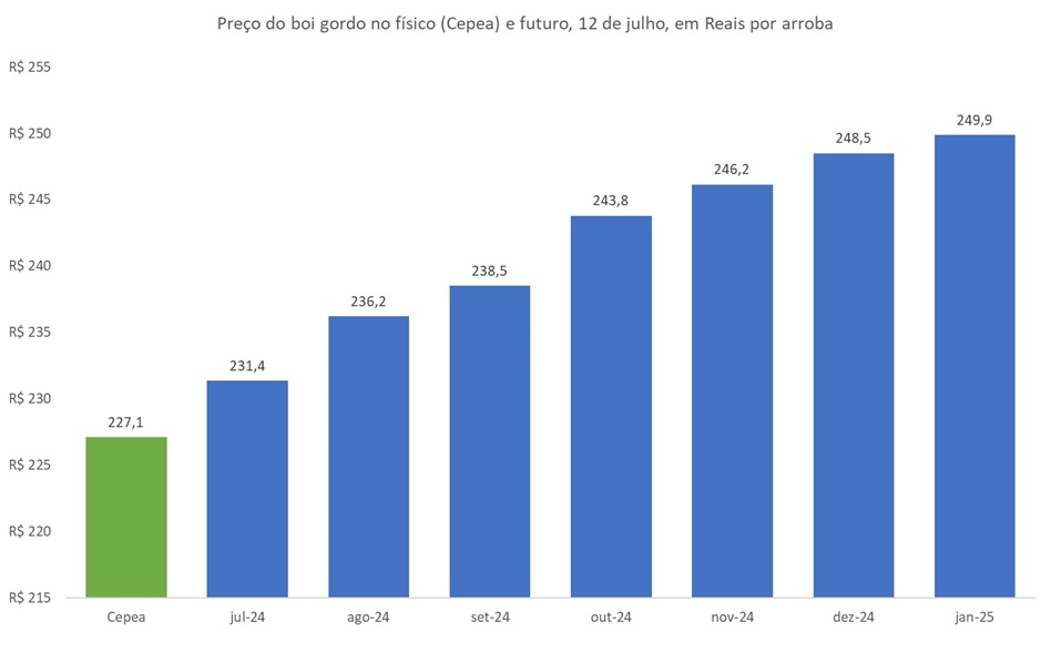 preço futuro do boi gordo