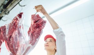 importação de carne bovina do Brasil