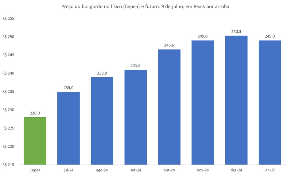 preço futuro do boi gordo