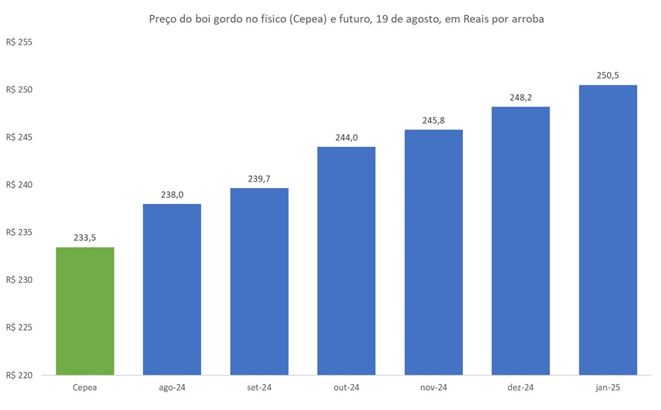 preço futuro do boi gordo