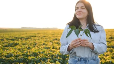 importância do engenheiro agrônomo