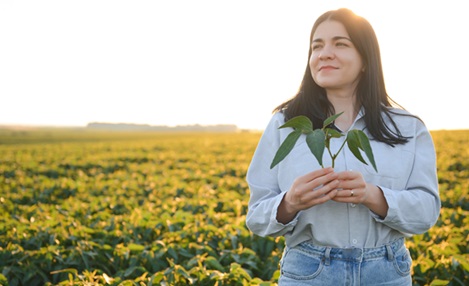 importância do engenheiro agrônomo