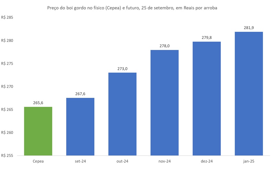 preço futuro do boi gordo