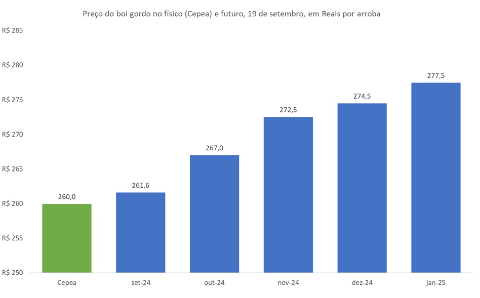 preço futuro do boi gordo