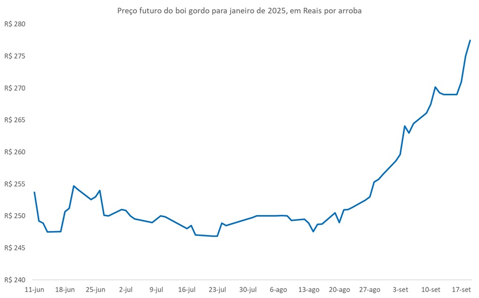 preço futuro do boi gordo