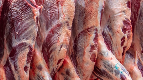 carne bovina do Brasil para os EUA