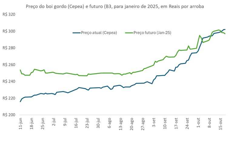 preço futuro do boi gordo