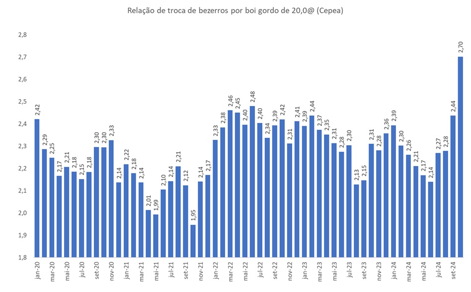 bezerros por boi gordo