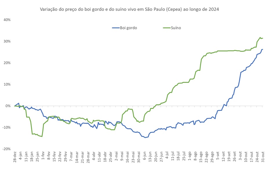 preço do suíno vivo