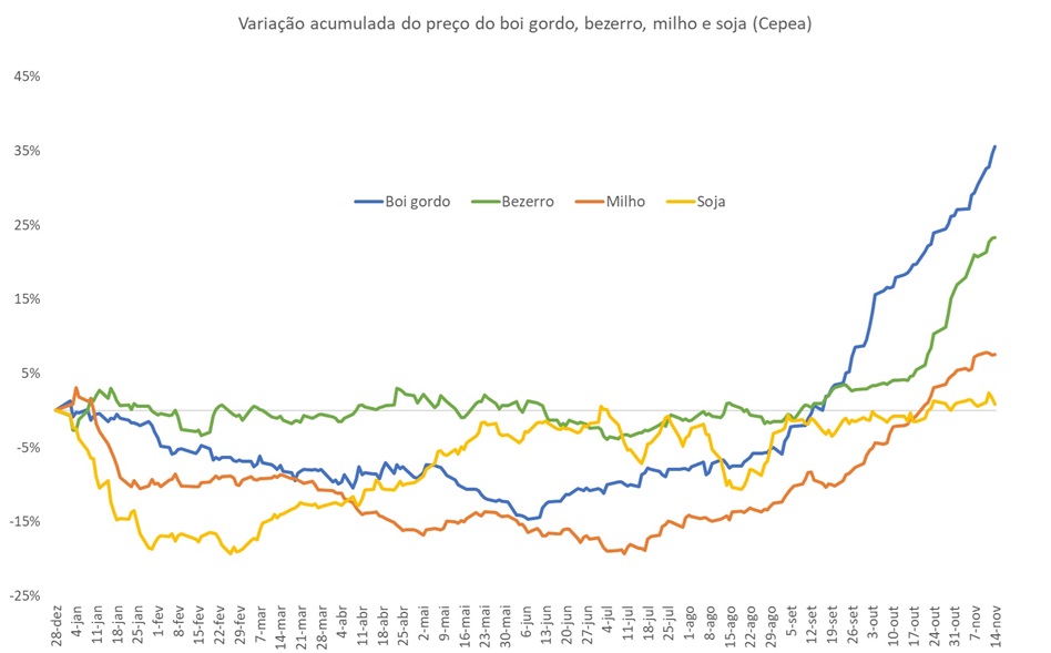 preço do boi gordo