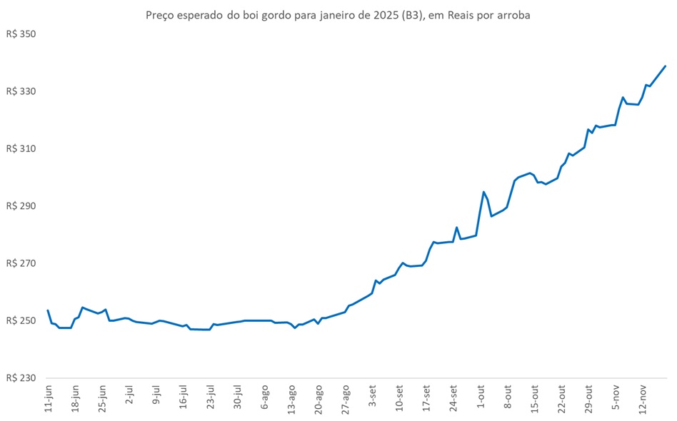 mercado futuro do boi