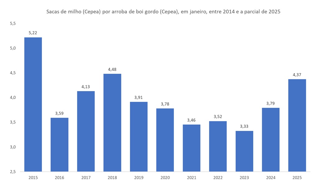 milho por arroba de boi