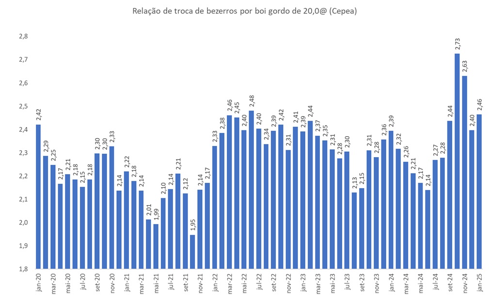 bezerros por boi gordo