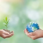 agricultura regenerativa