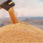 comercialização dos produtos agrícolas