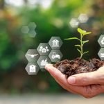 economia verde