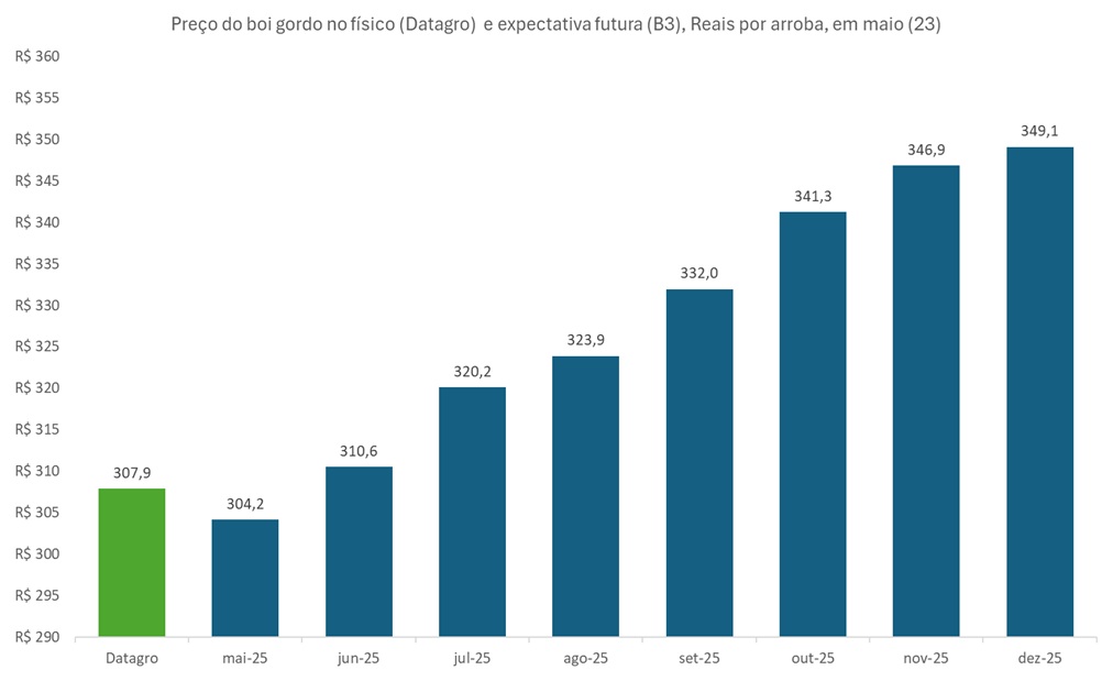 preço futuro do boi gordo