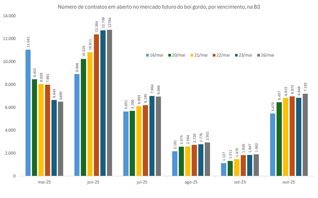 mercado futuro do boi gordo