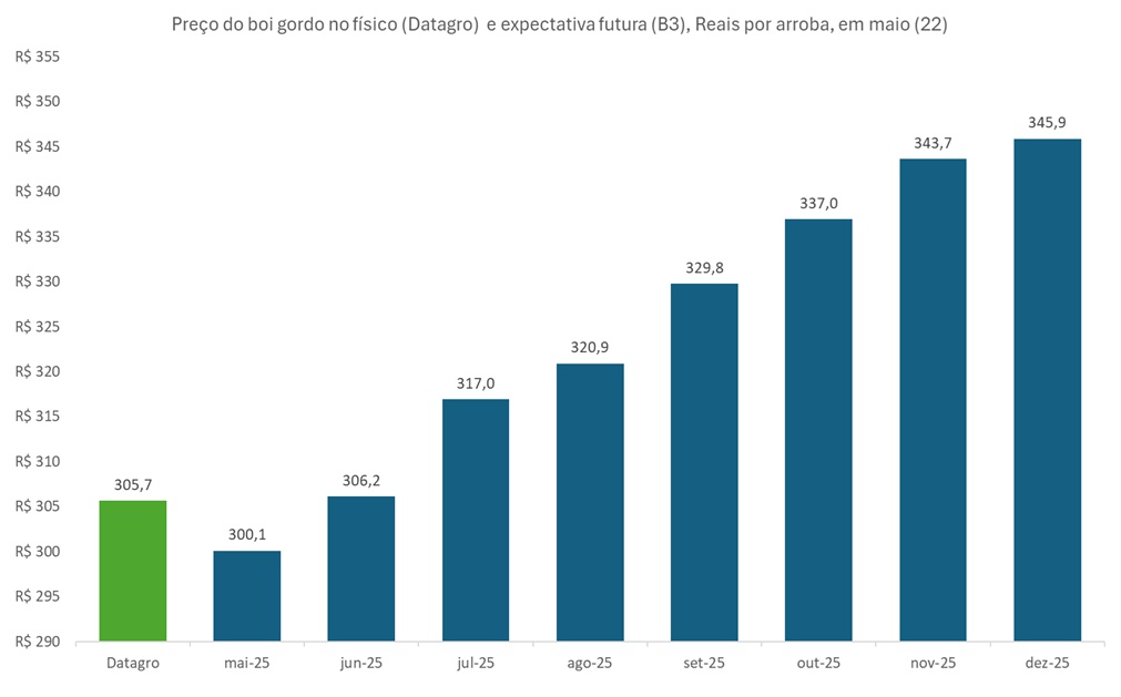 preço futuro do boi gordo
