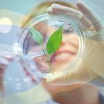 nobel da agricultura