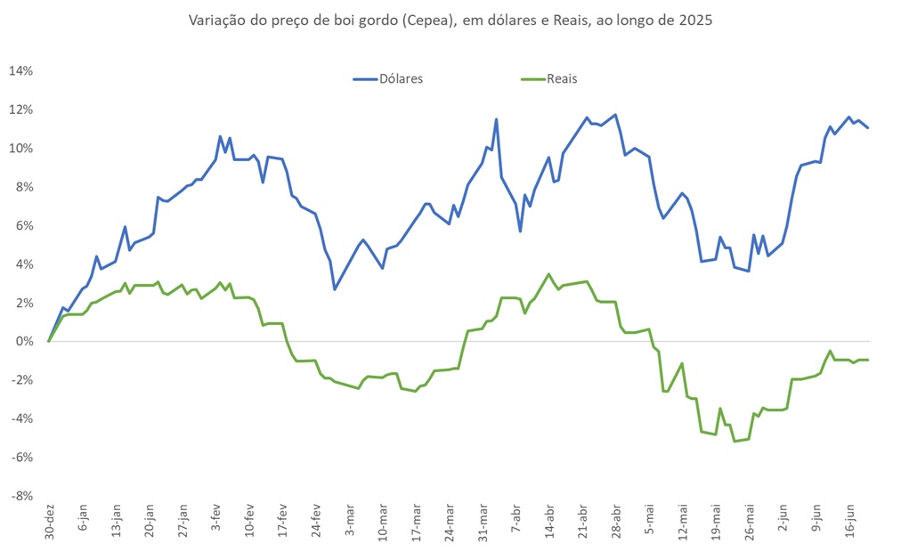 preço do boi gordo em dólares