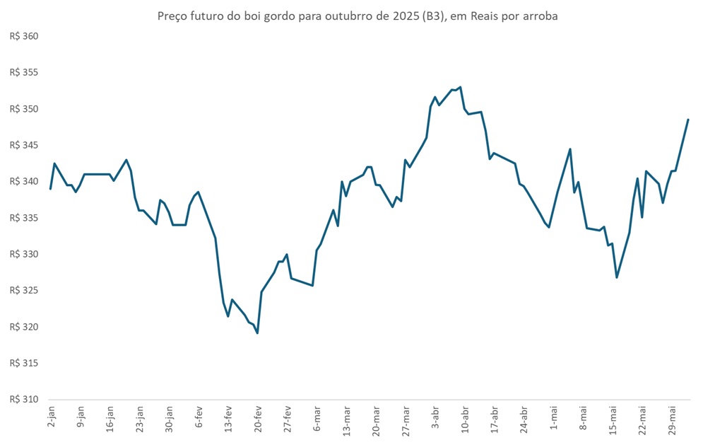 preço futuro do boi gordo
